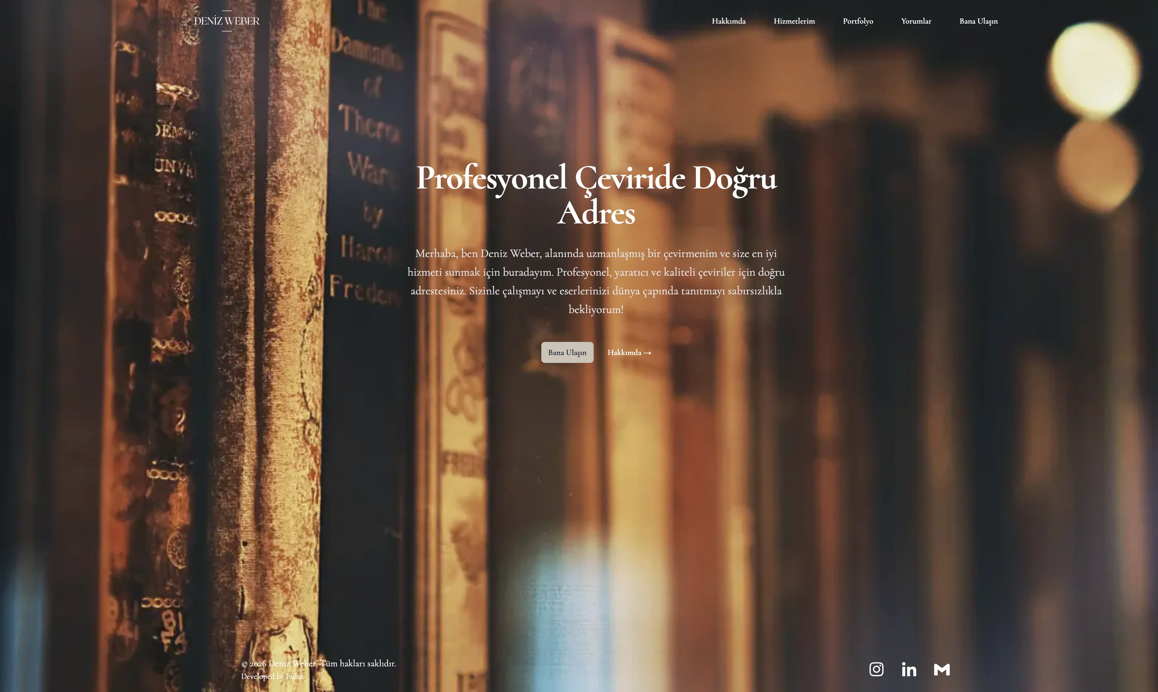 denizweber.com screenshot